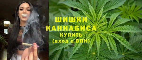 ALPHA PVP Заводоуковск